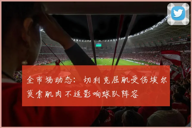 全市场动态：切利克屈肌受伤埃尔莫索肌肉不适影响球队阵容