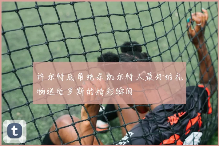 许尔特底角绝杀凯尔特人最好的礼物送给罗斯的精彩瞬间