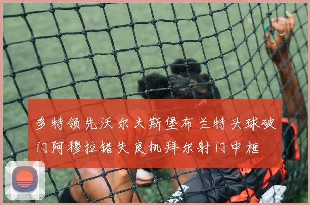 多特领先沃尔夫斯堡布兰特头球破门阿穆拉错失良机拜尔射门中框